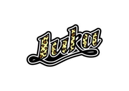 Custom Logo Type for Downhill Mountain Biker Luka